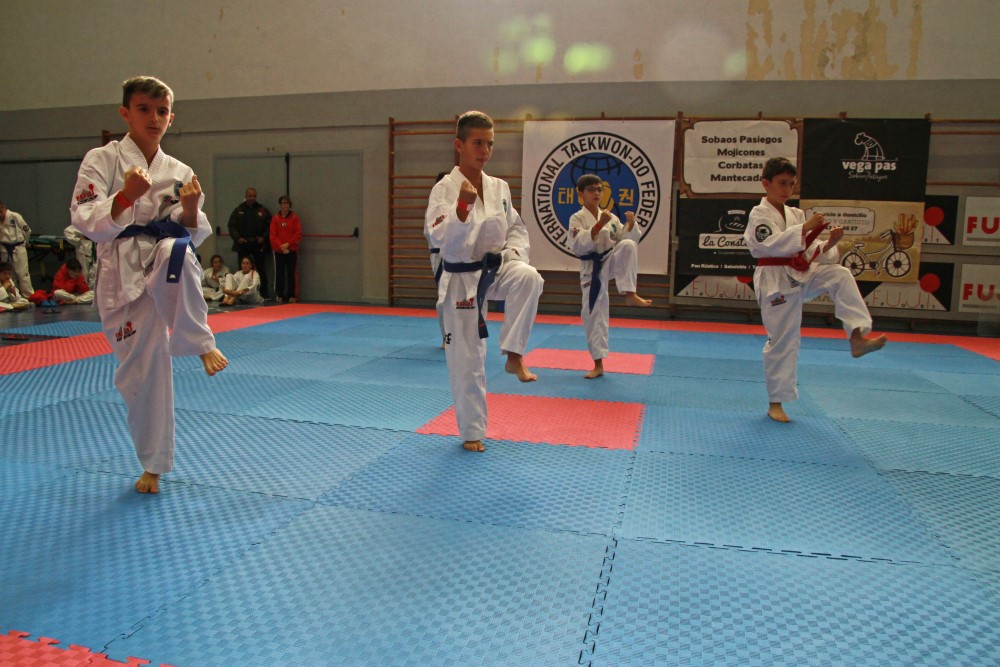 III Copa Seúl (73).jpg